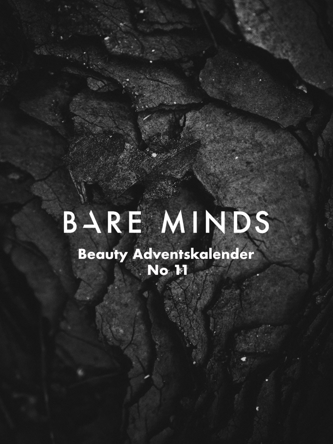Bare Minds Beauty Adventskalender brian-patrick-tagalog-676639-unsplash