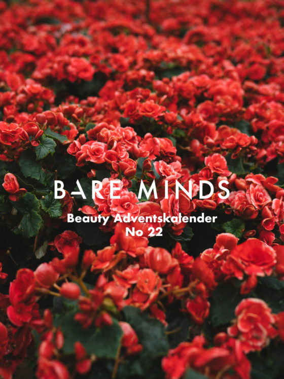 Bare Minds Beauty Adventskalender tuan-nguy-n-minh-570922-unsplash