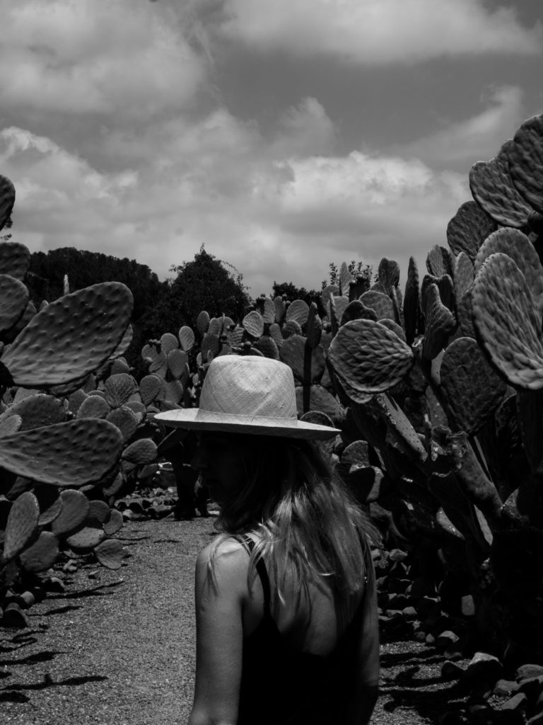 Beautyblog Südafrika Weinfarm Babylonstoren Kaktusgarten